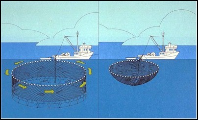 TYPES OF COMMERCIAL FISHING VESSELS – QUEEN CHARLOTTE SEAFOODS LTD.